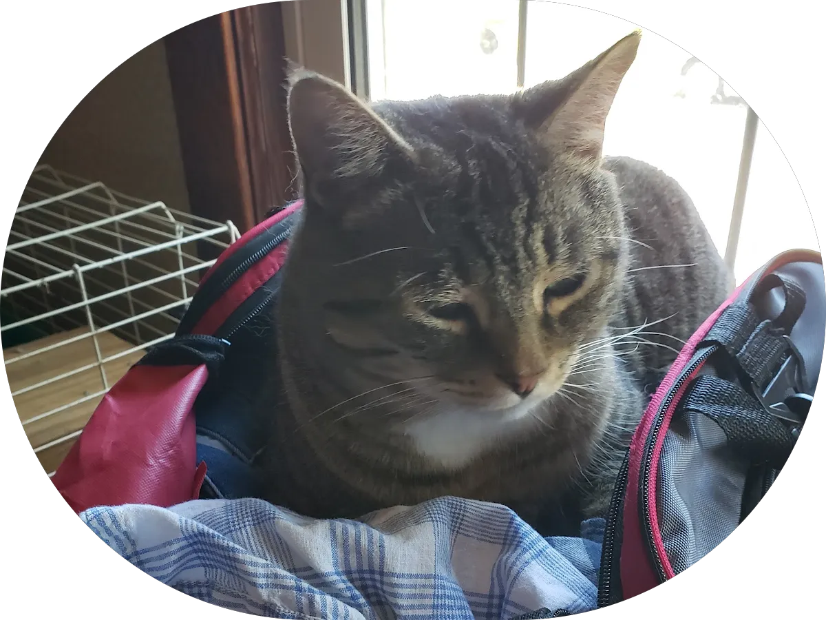 Advanced Electrical Inc