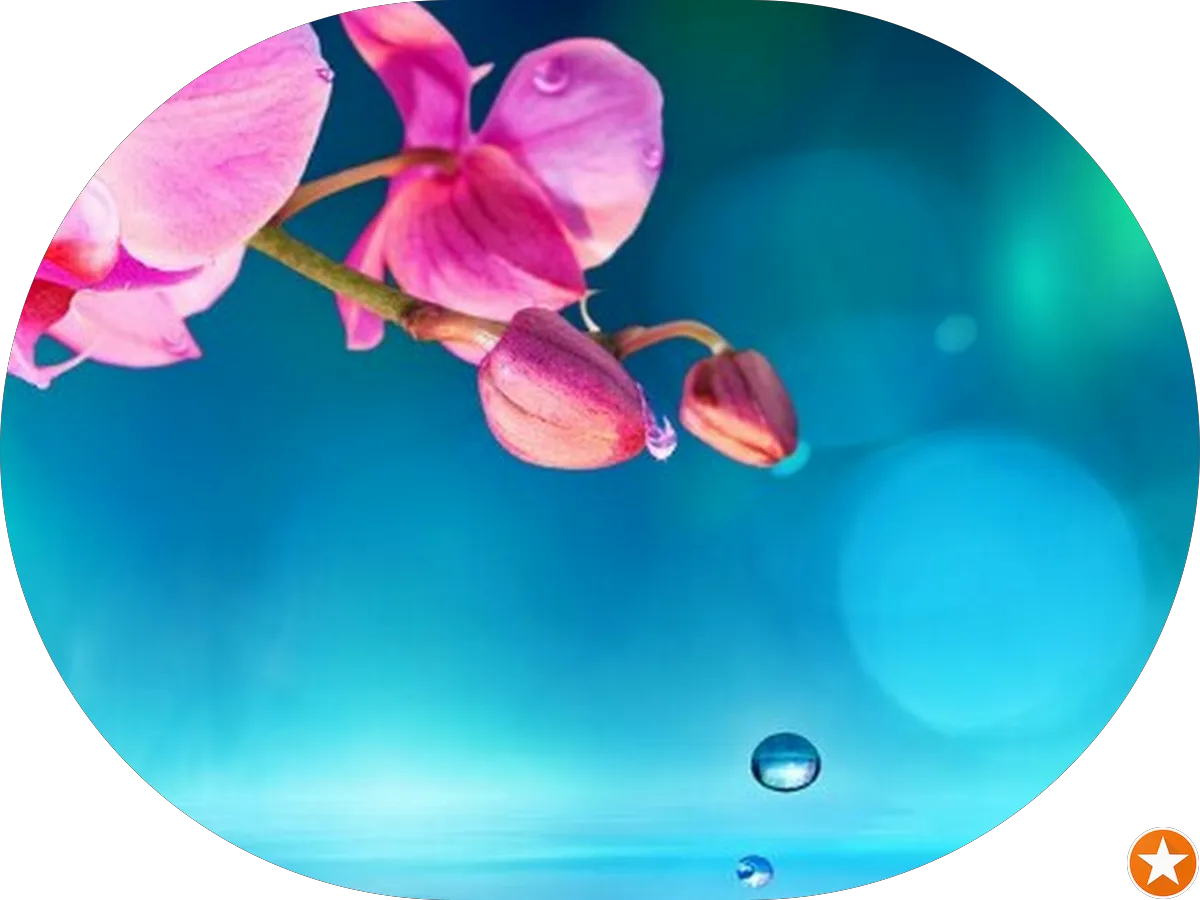 Advanced Vision Consultants photo 5