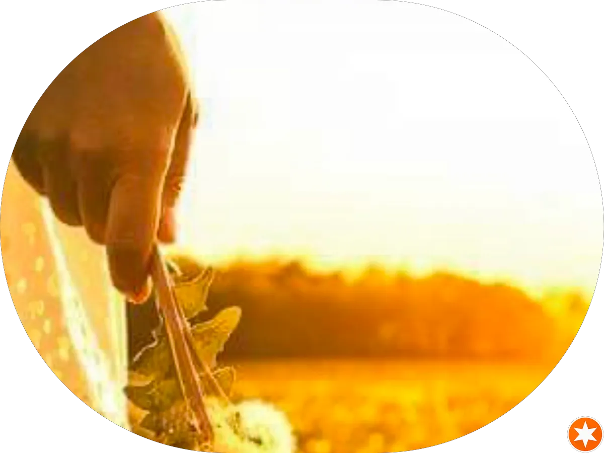 AFC Urgent Care Cinnaminson photo 3