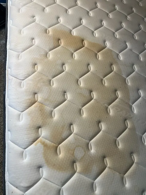 Affordable Carpet & Rug Care of Laurel MD