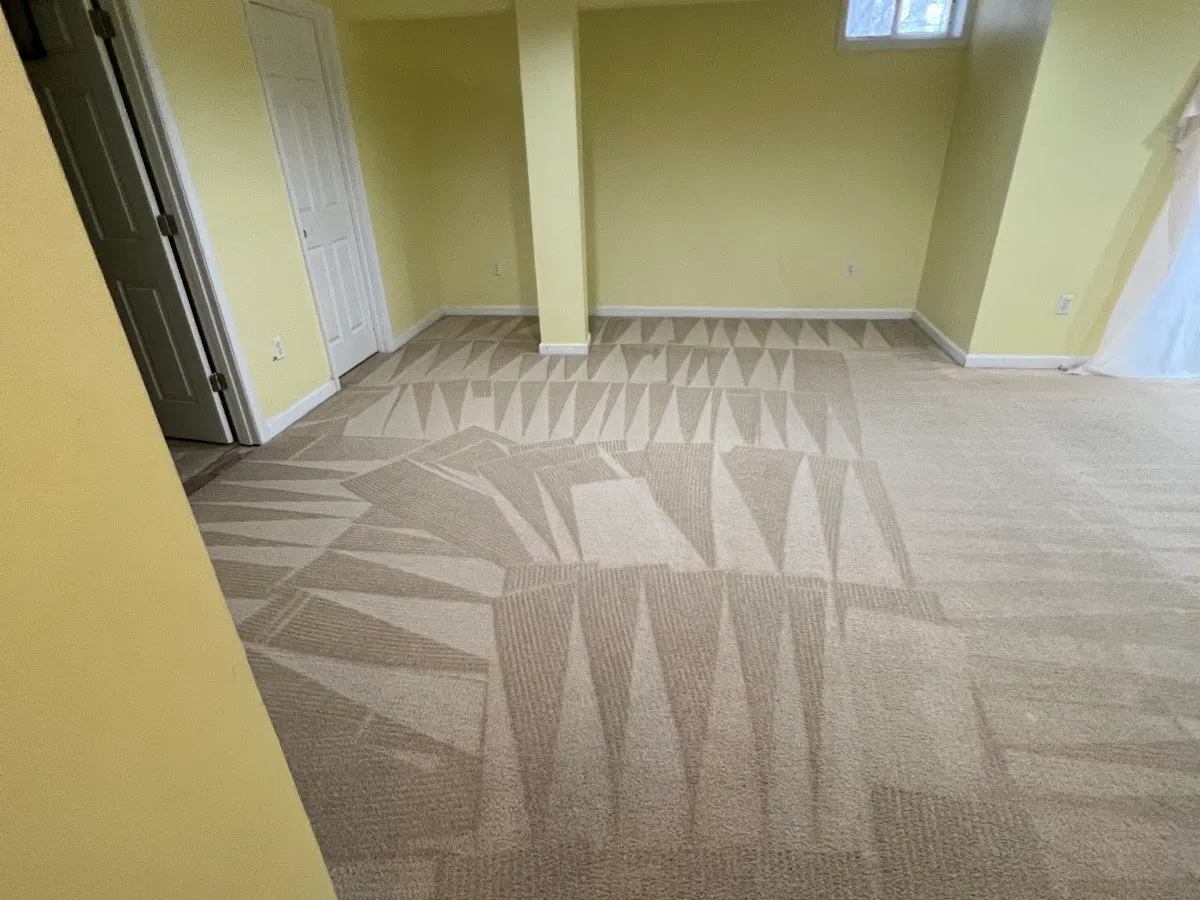 Affordable Carpet & Rug Care of Laurel MD photo 5