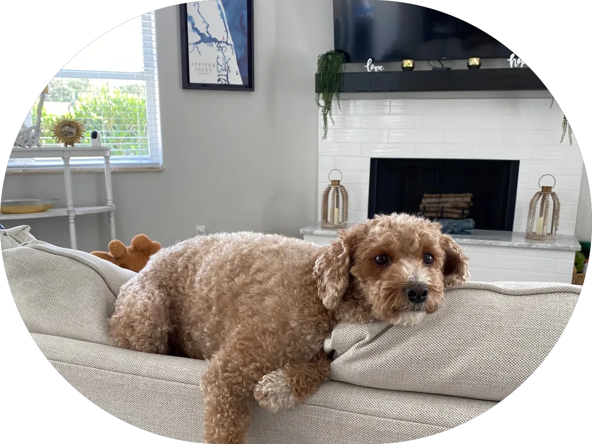 Affordable Comfort Systems