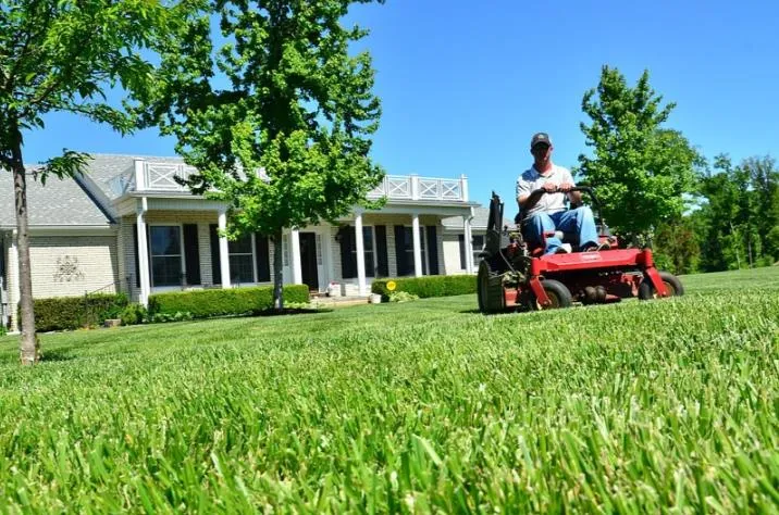 Affordable WB Landscaping LLC photo 3