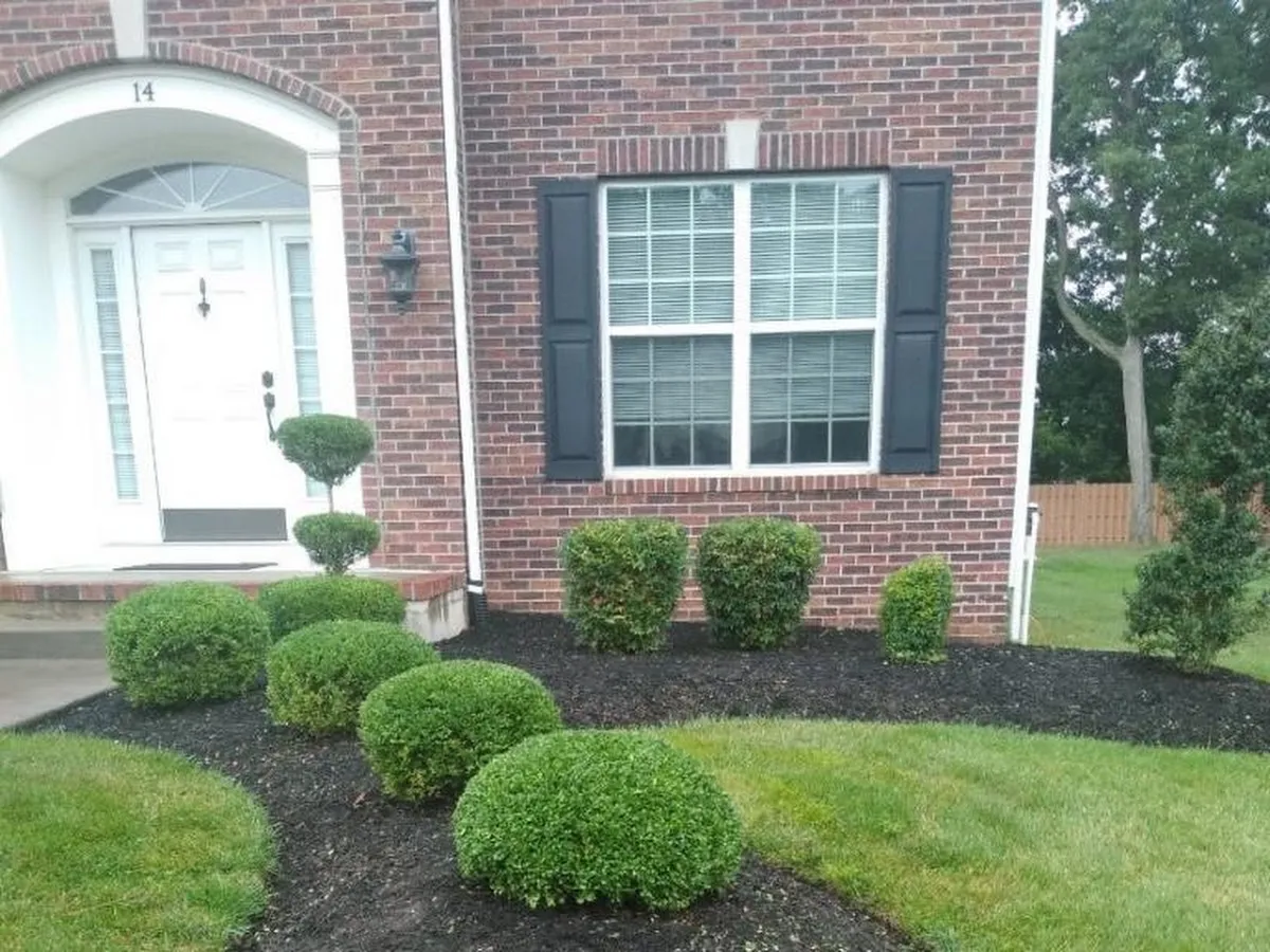 Afines Landscaping LLC