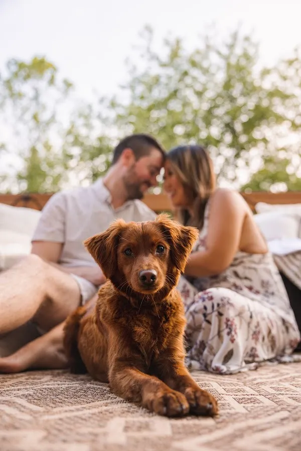 AGG Photography photo 4