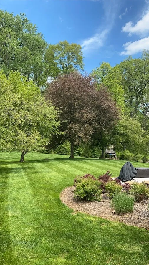 Agnello Landscaping, LLC photo 2