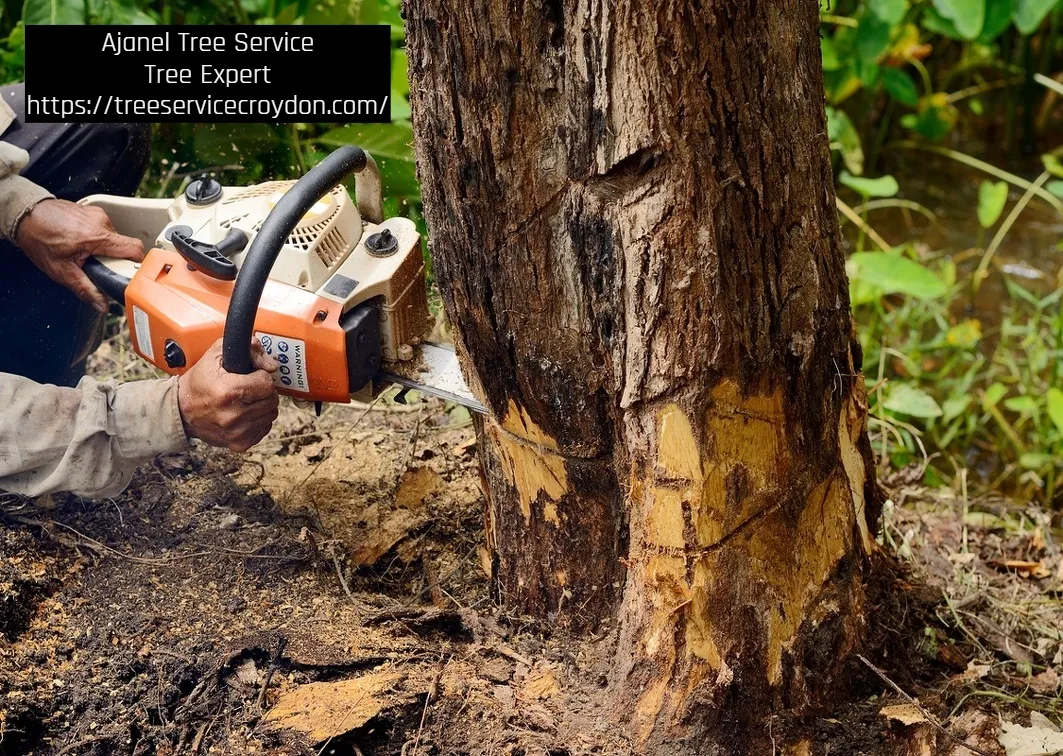 Ajanel Tree Service photo 2