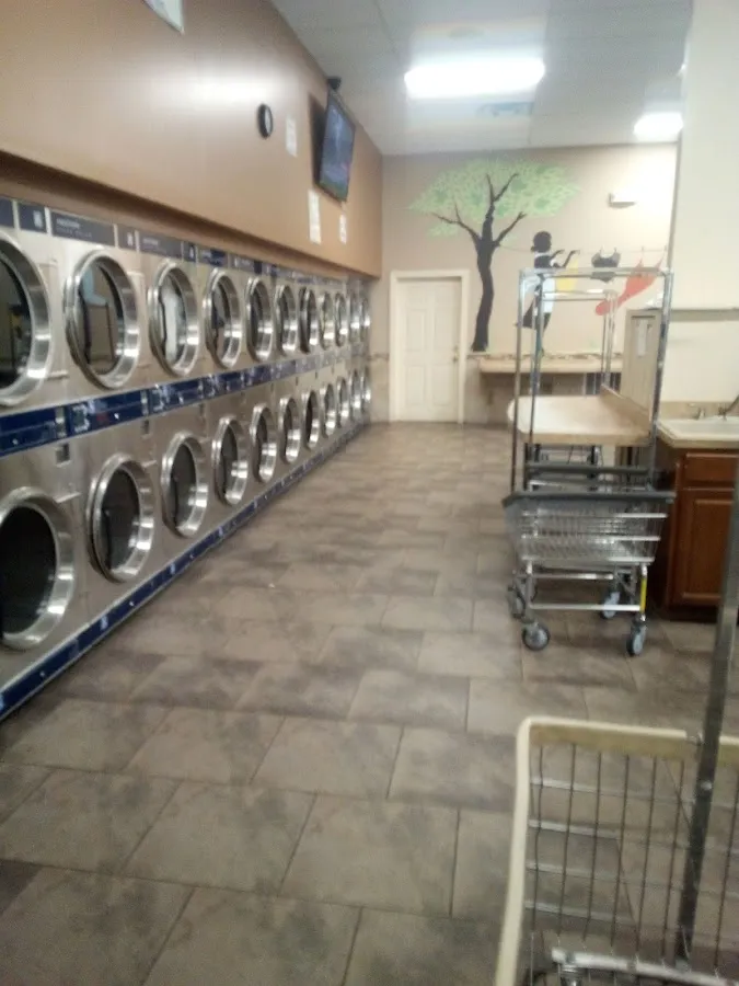Al & Rich Laundromat photo 5