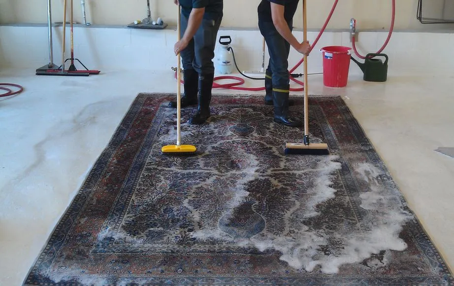 Aladdin Rug Cleaning Facility NJ