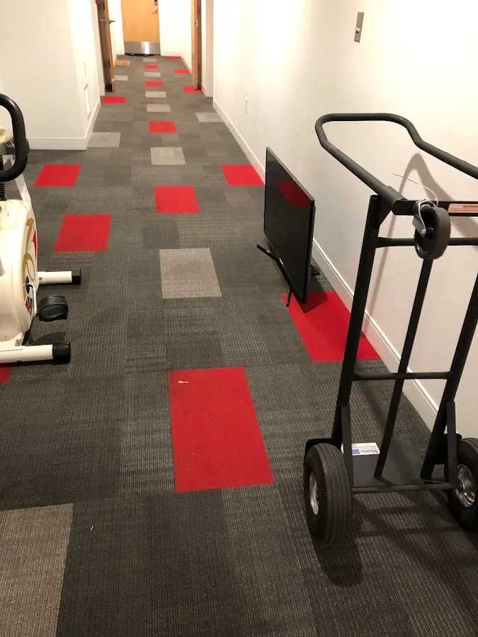 Albo moving & packing services photo 3