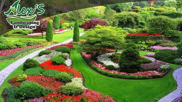 Alex's Landscaping & Design photo 2