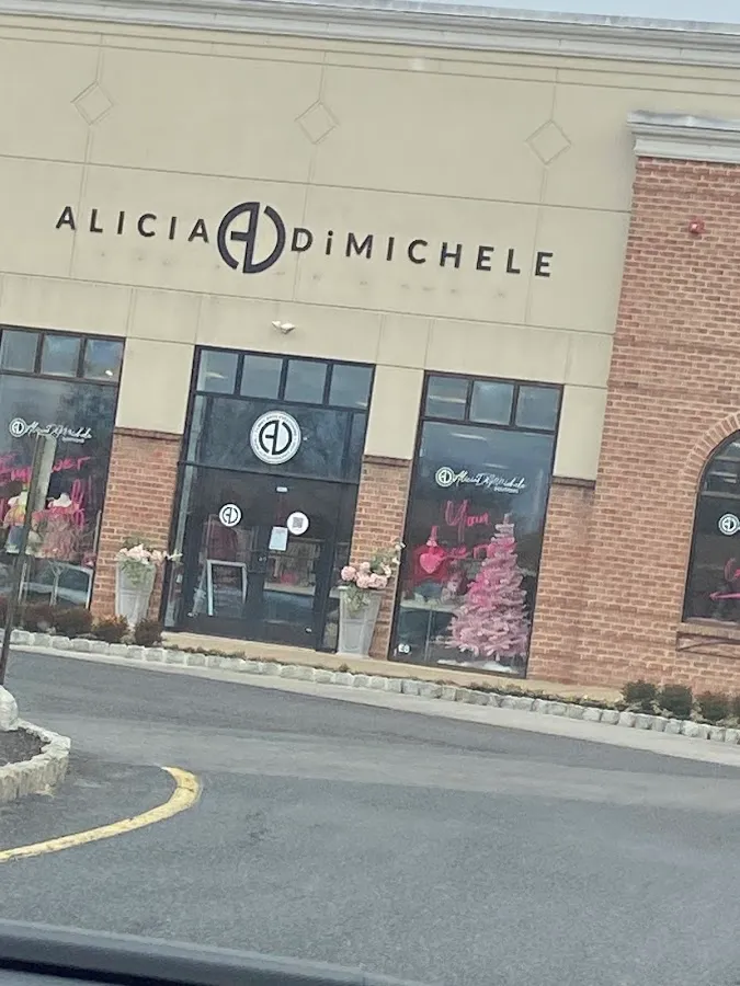 Alicia DiMichele Boutique