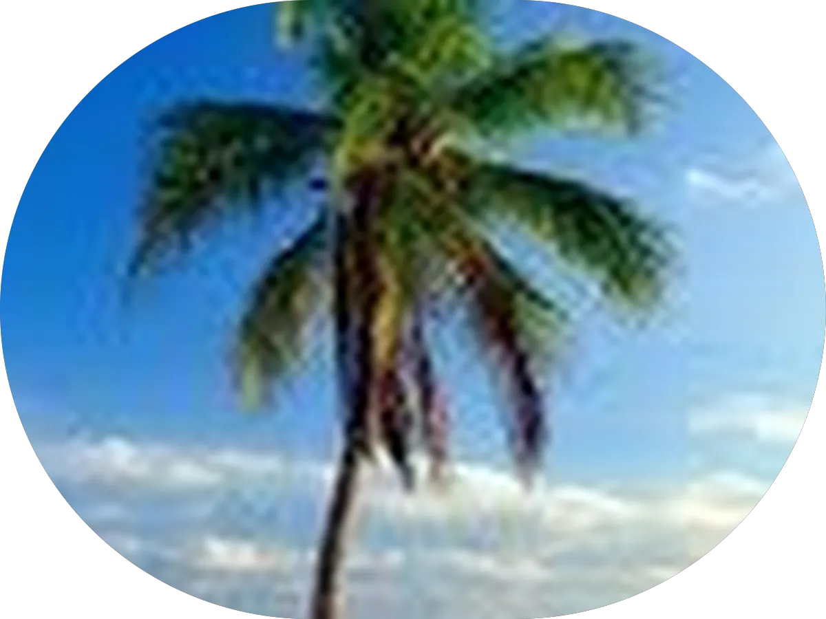 Alizah Allen, Therapy Clinician photo 3