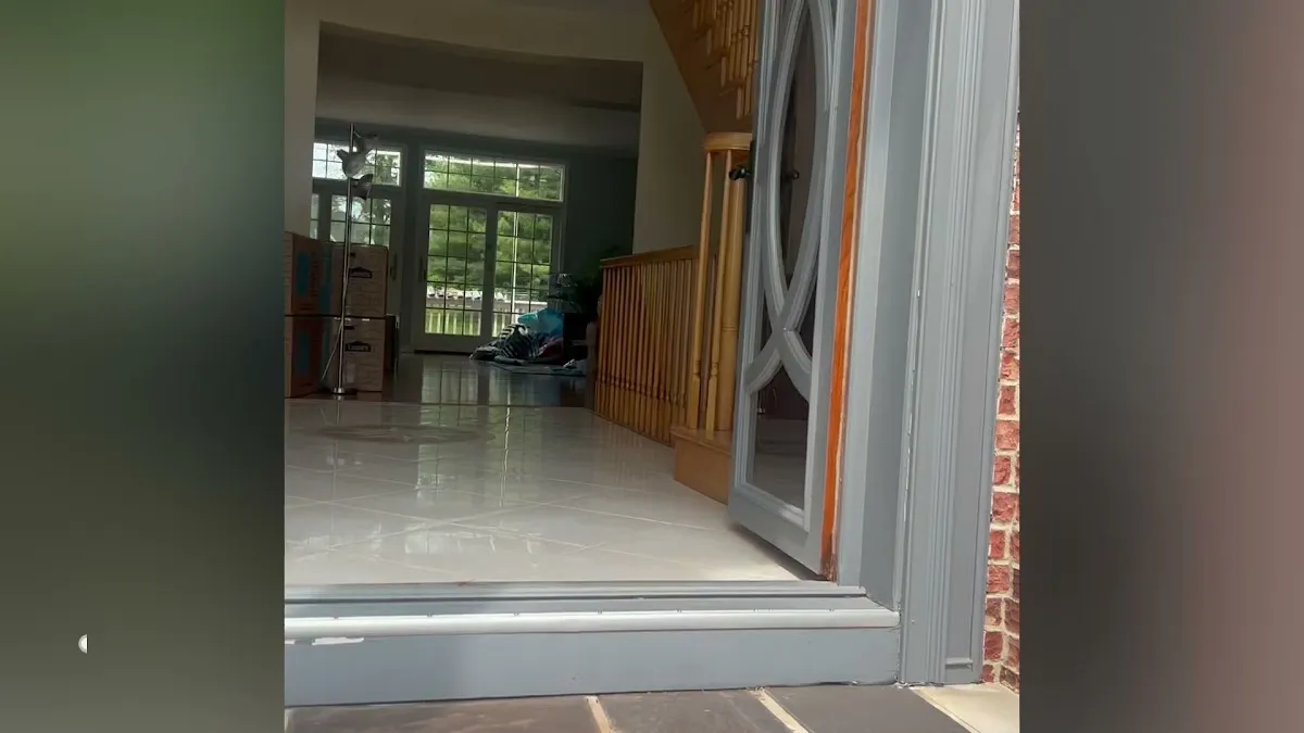 All Around Moves photo 3