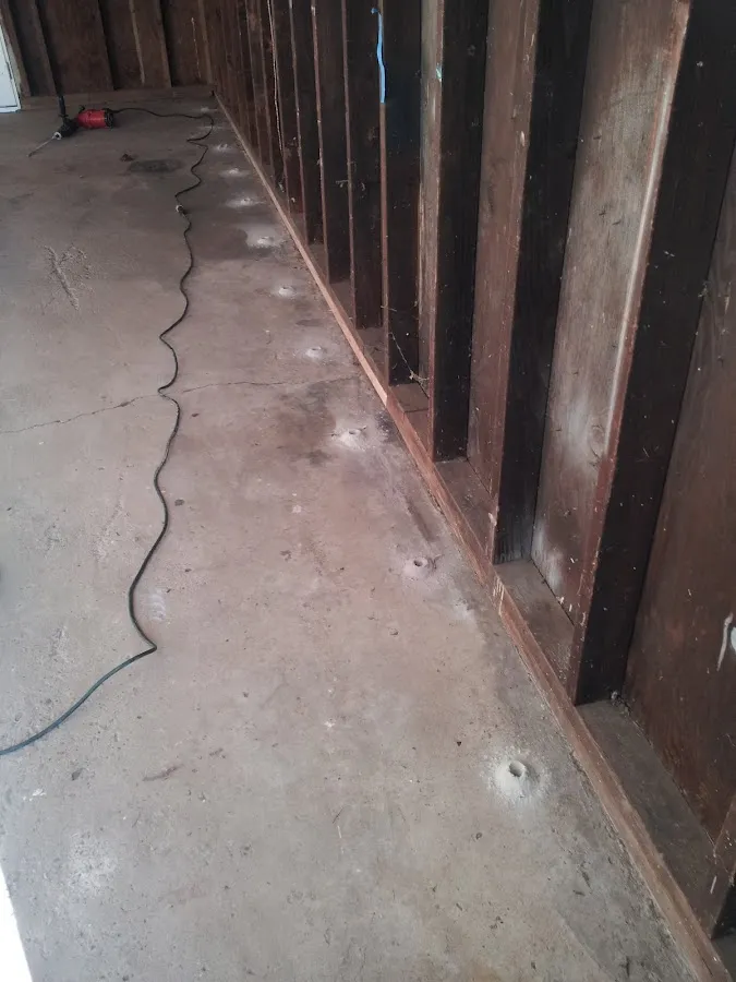 All Bugs Aside Pest Control, LLC photo 2