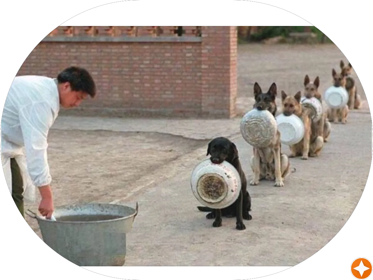 All Clear Plumbing photo 2