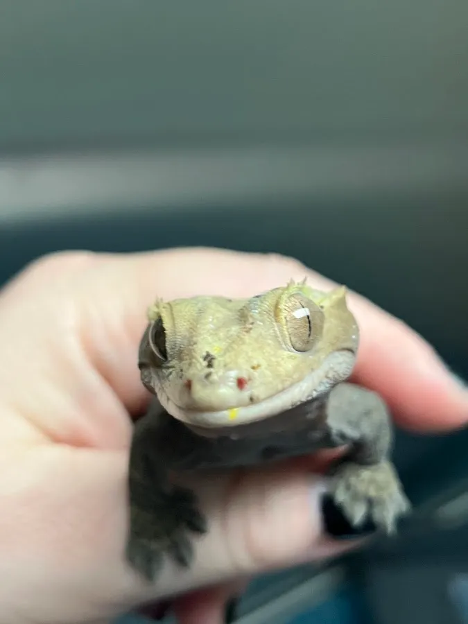 All Creatures Veterinary Care Center photo 4