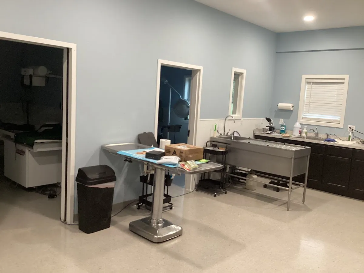 All Creatures Veterinary Service photo 2