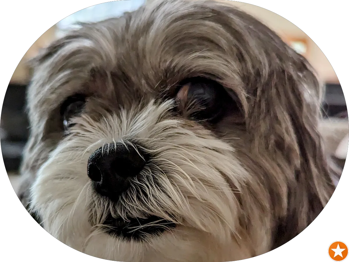 All Day Garage Doors photo 4