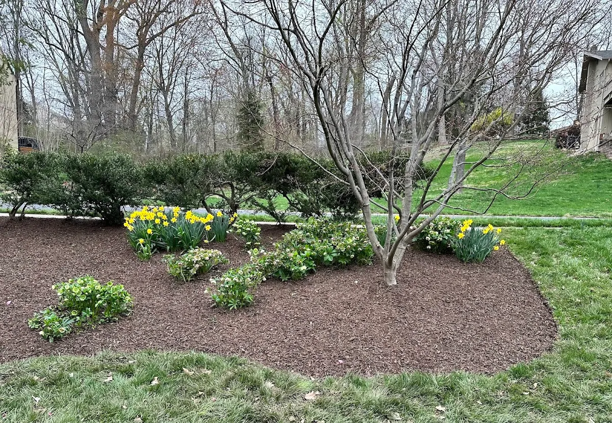 All Good Landscaping and Design LLC