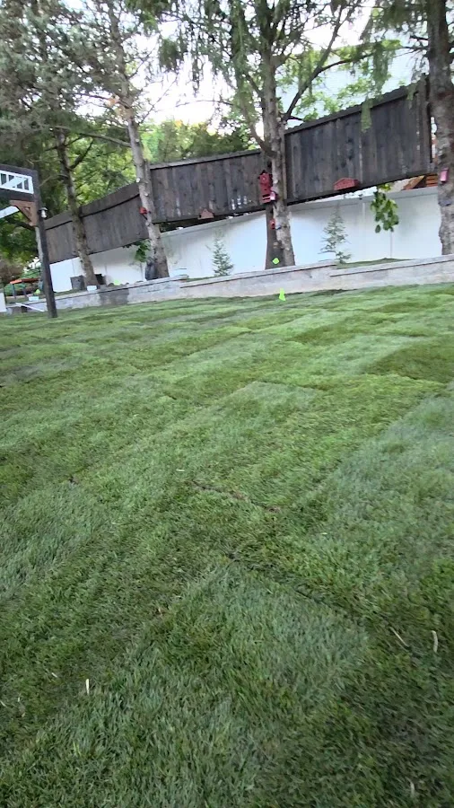 All green nature Landscaping & Lawn care LLC photo 3