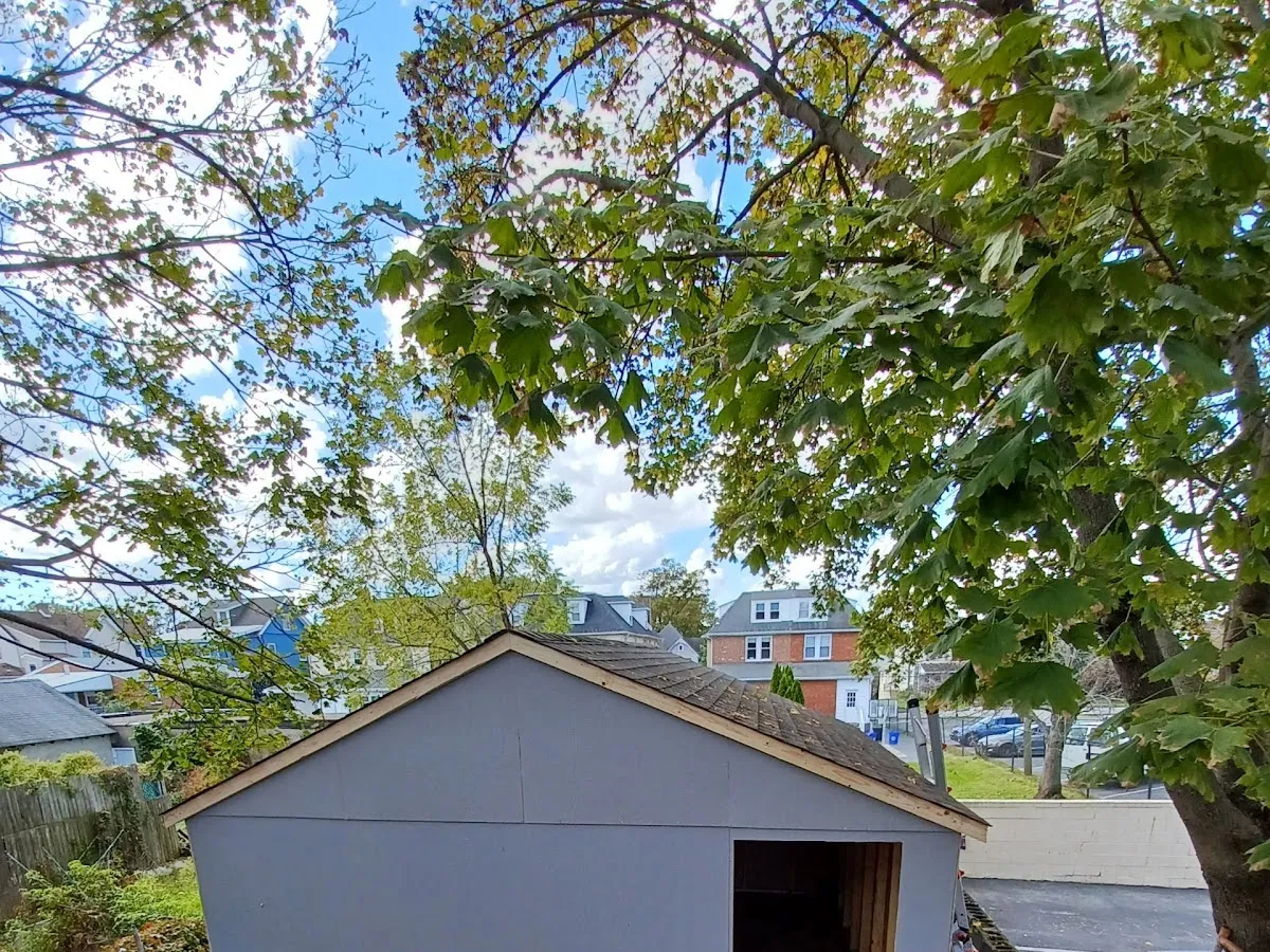 ALL INTERIOR RENOVATIONS/LLC photo 5