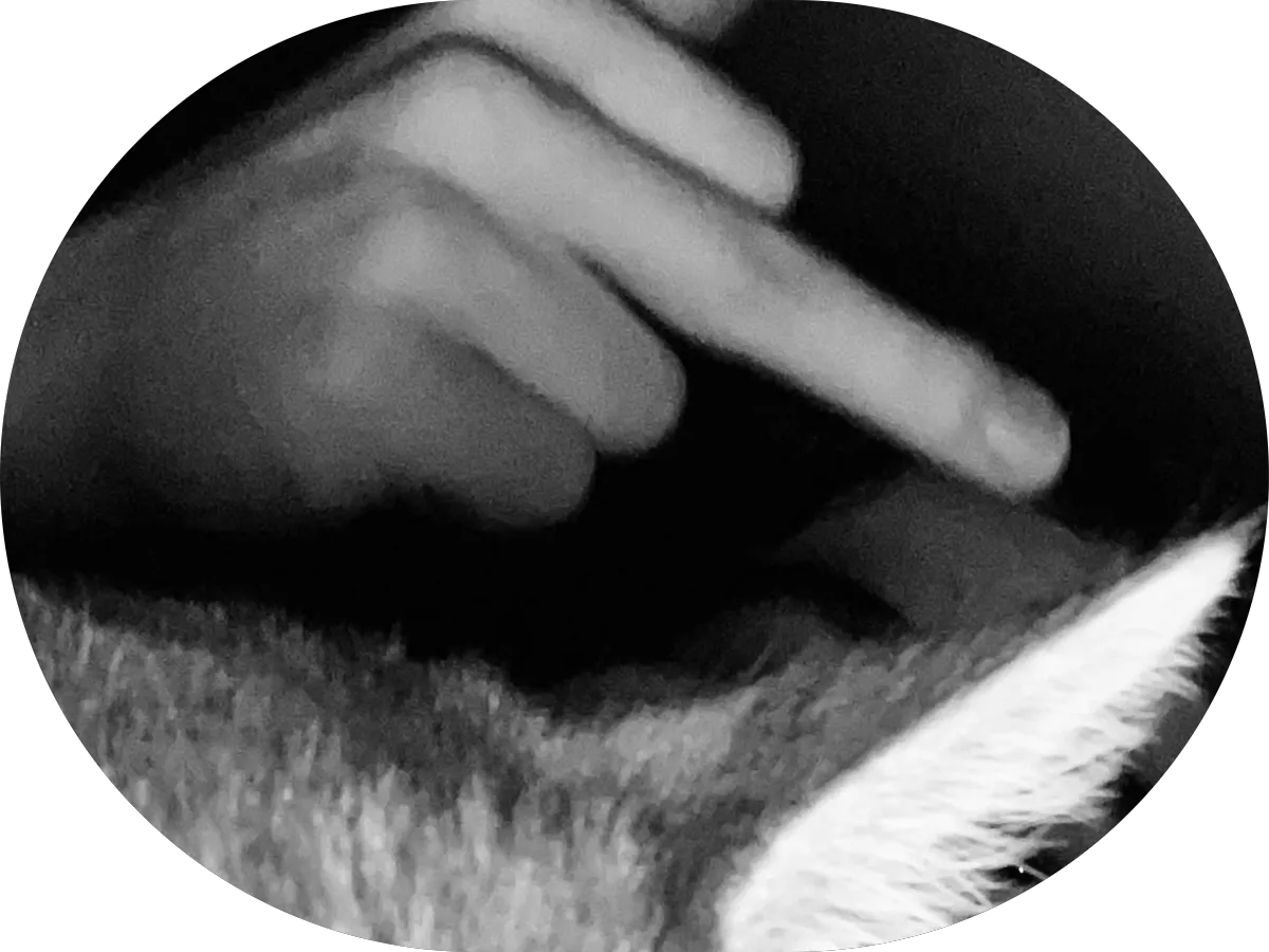 All Riders Domain Motorsports photo 5