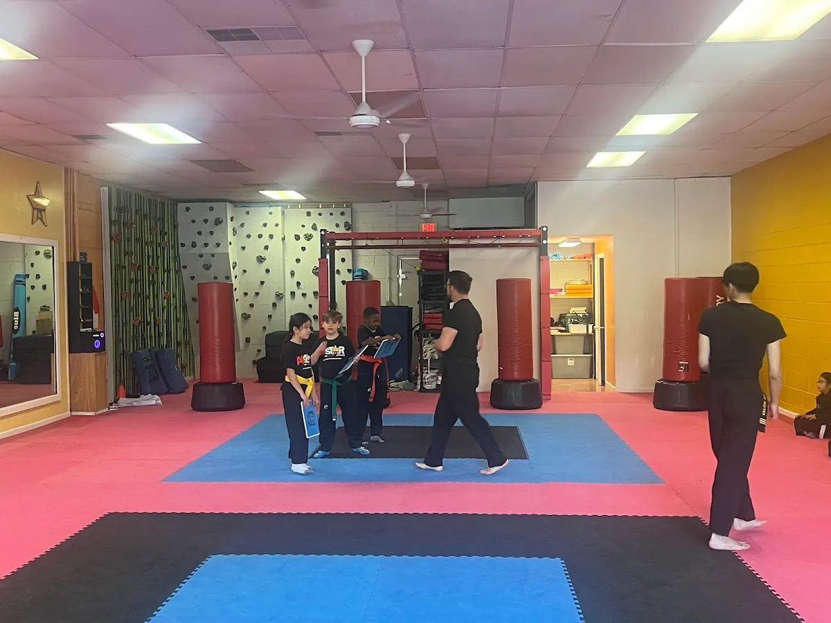 All Star Academy photo 2