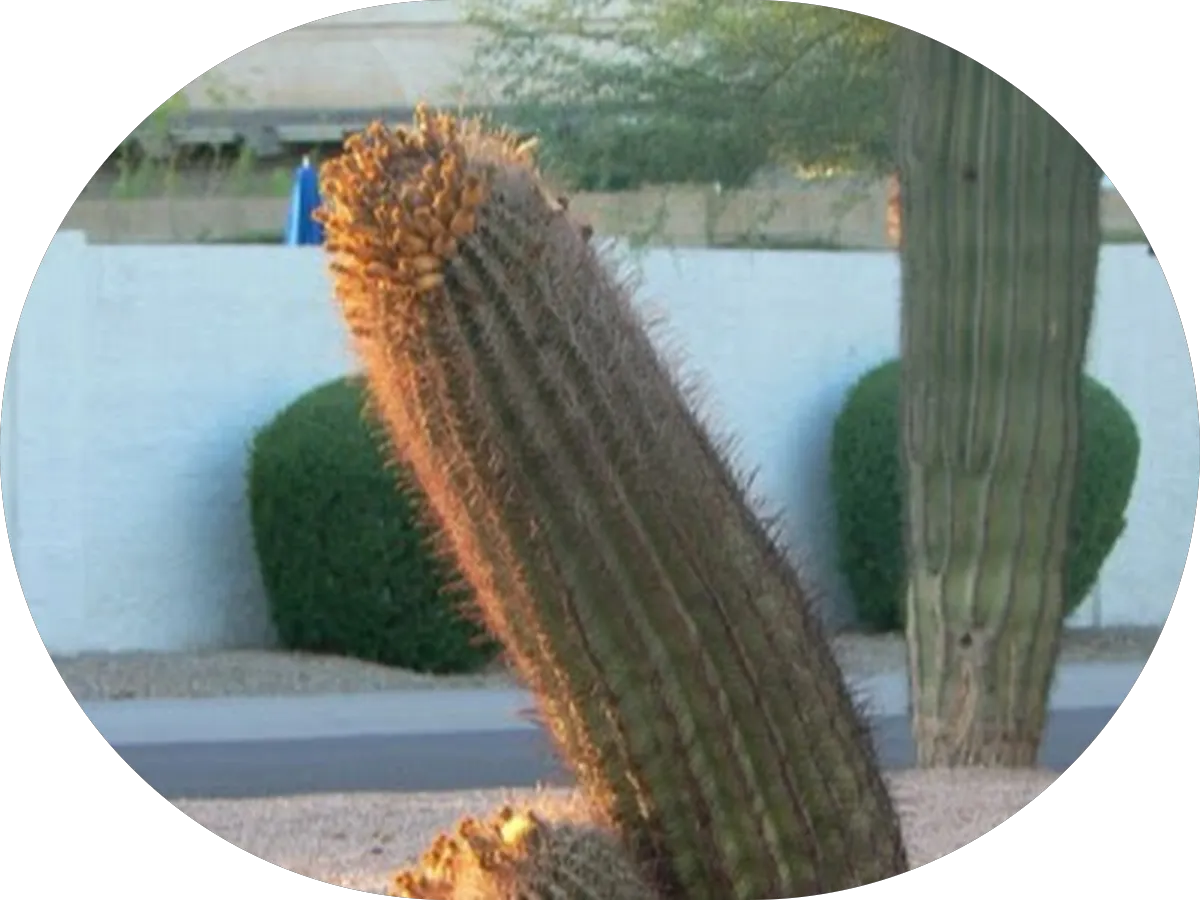 All The Details photo 5