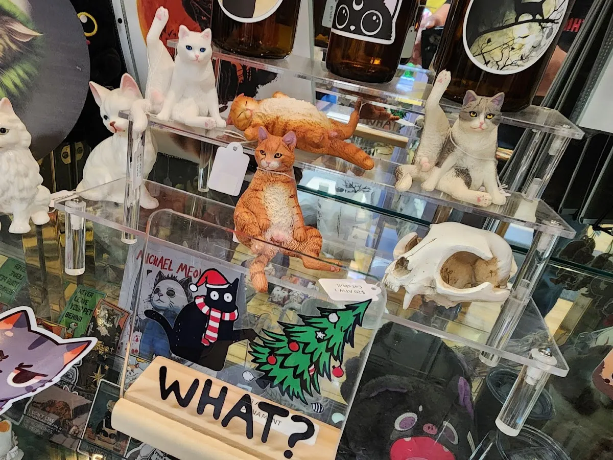 All Things Cat photo 3