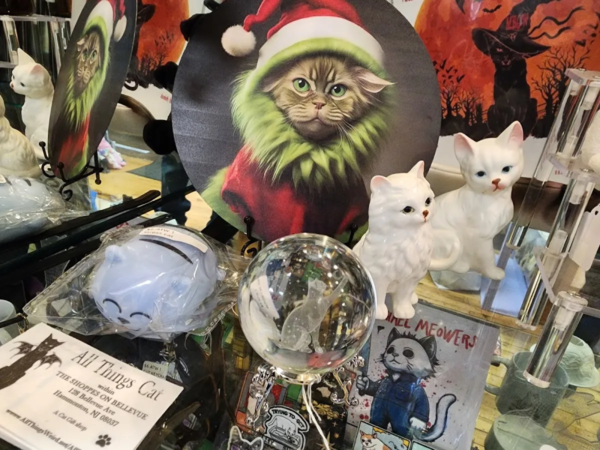 All Things Cat photo 4