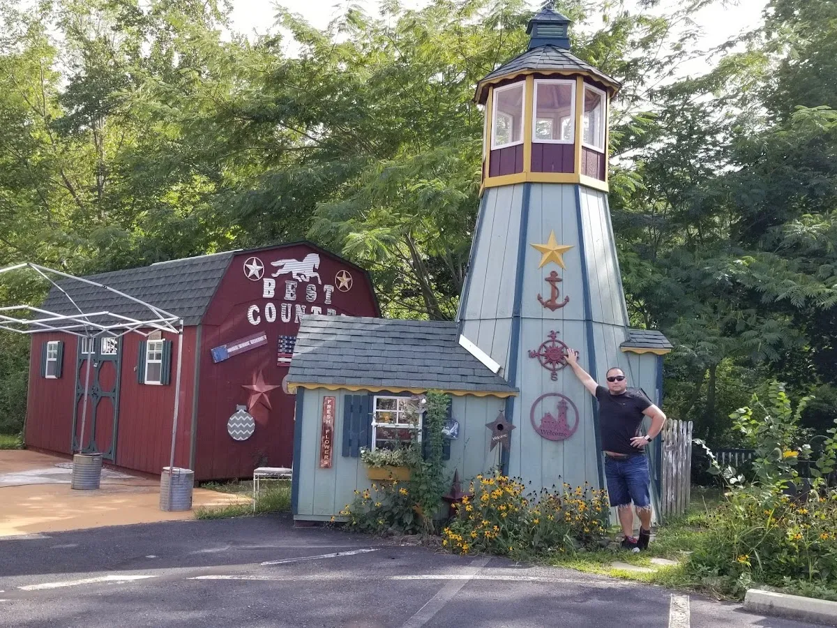 All Things Cat photo 5