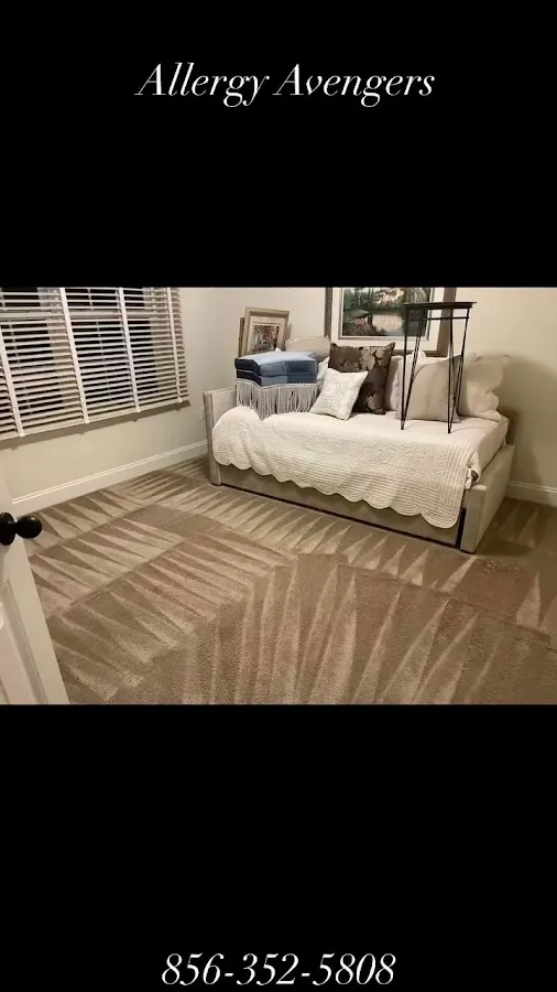 Allergy Avengers Cleaning Solutions