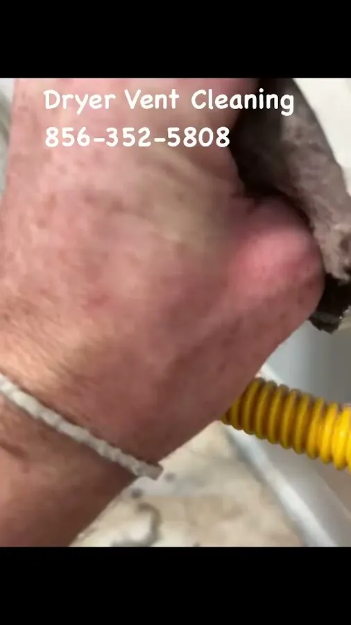 Allergy Avengers Cleaning Solutions photo 2