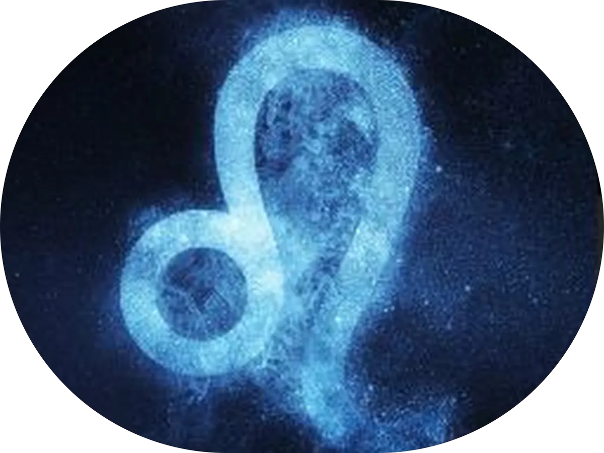 Allstar Handyman Services photo 2