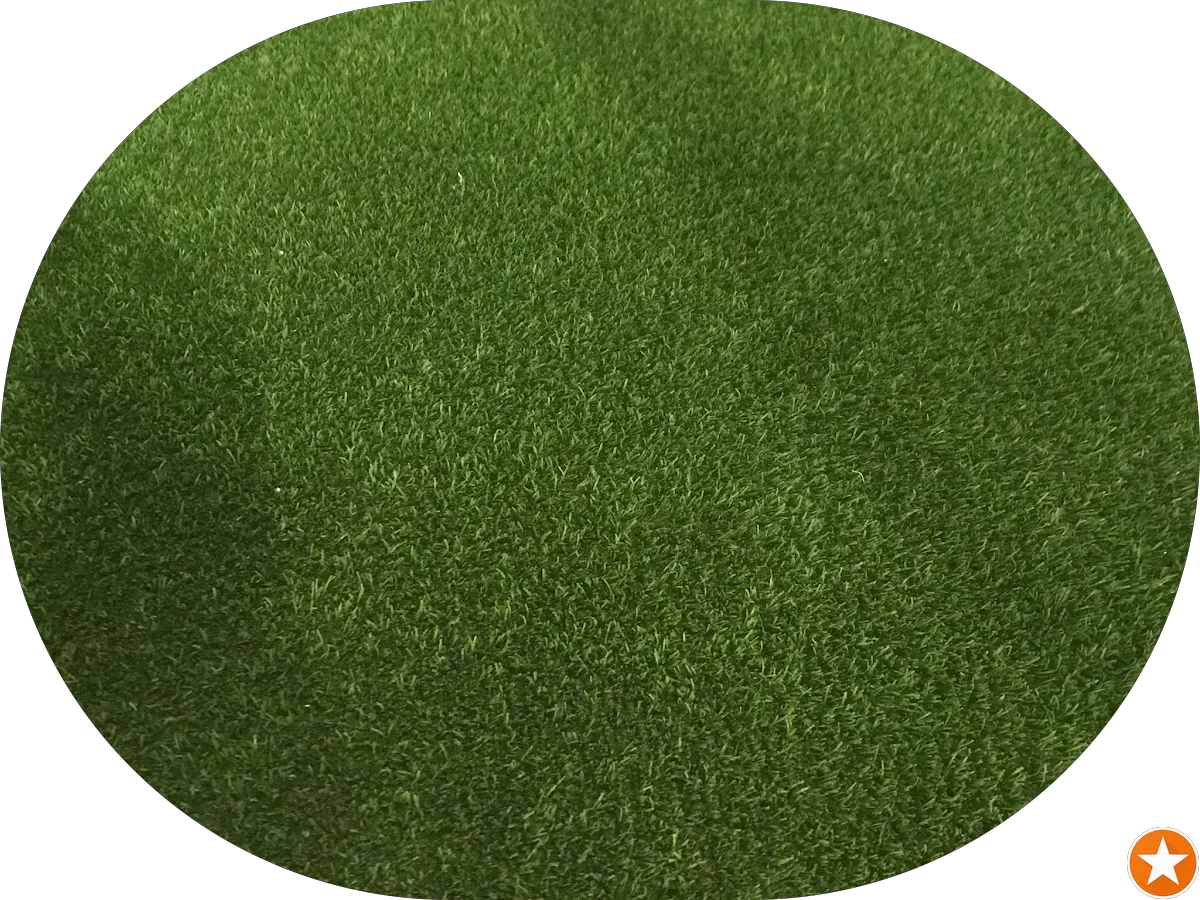 ALPHA CAR AUTO SALES LLC photo 5