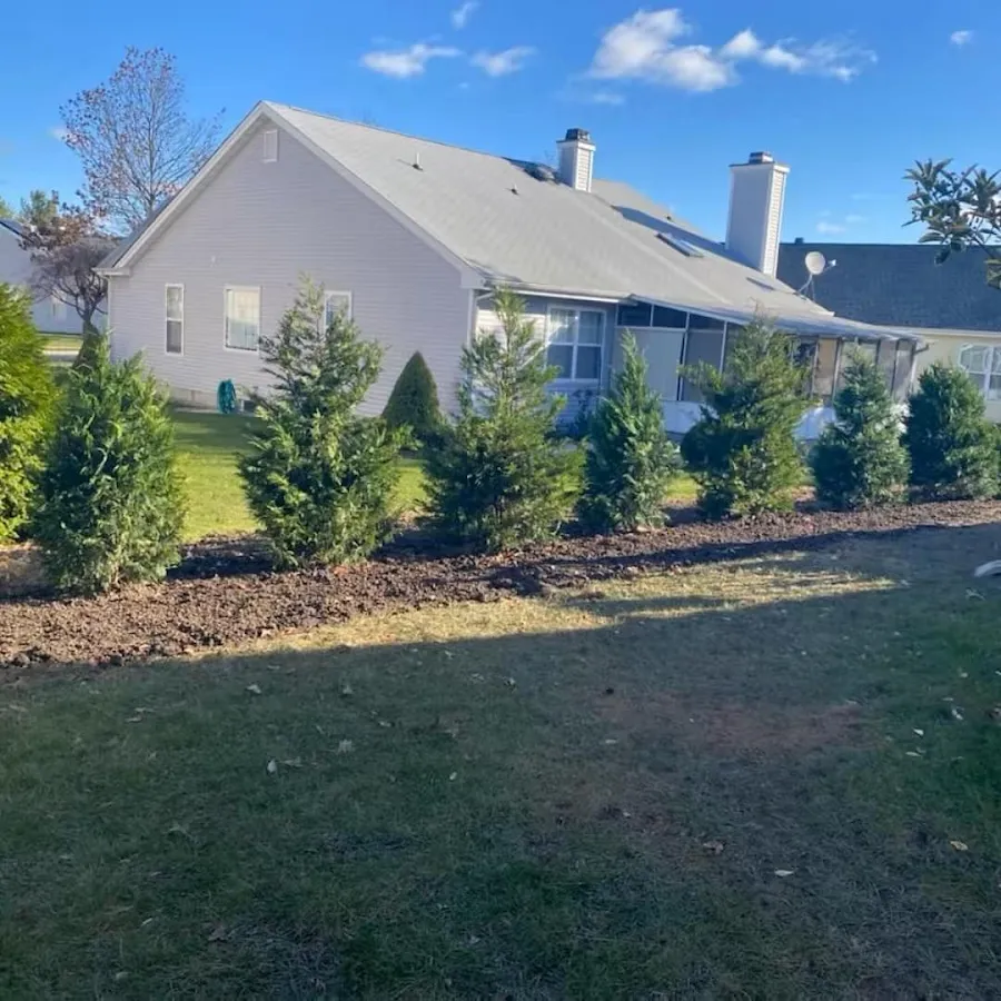 Alpha's Landscaping LLC photo 3