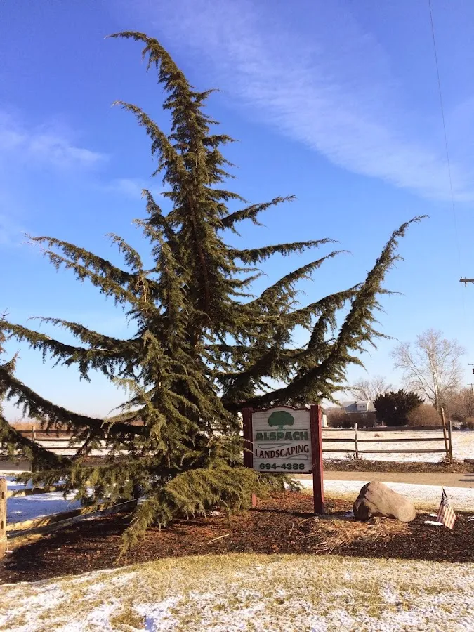 Alspach Landscaping & Nursery, Inc.