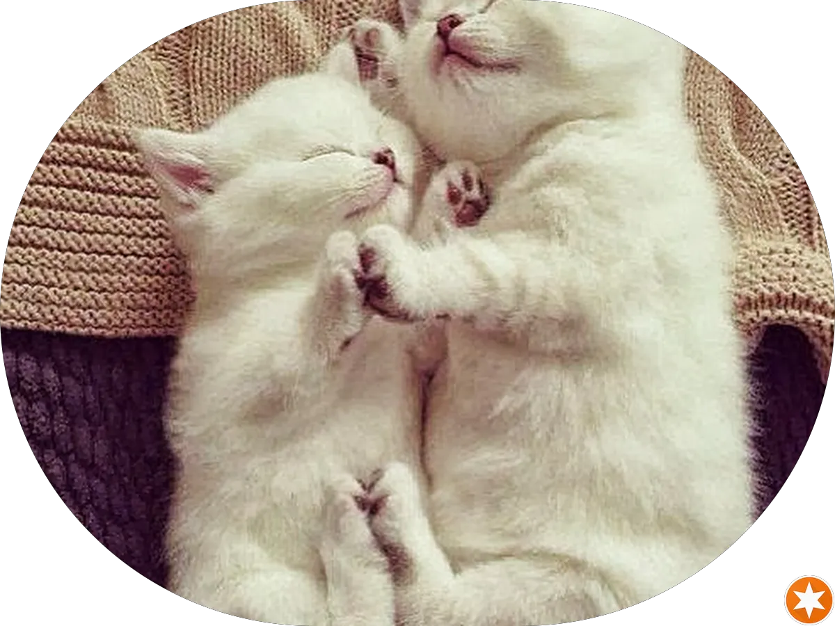 Altantic City Mercantile Lcns