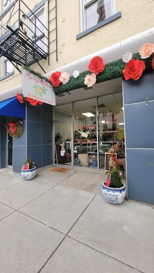 Always Blooming photo 2