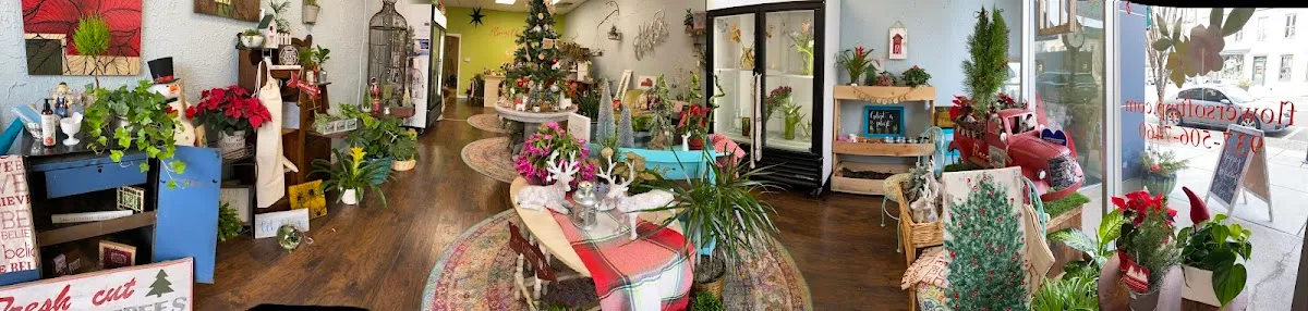 Always Blooming photo 3