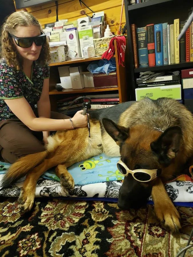 Always Helpful Veterinary Services