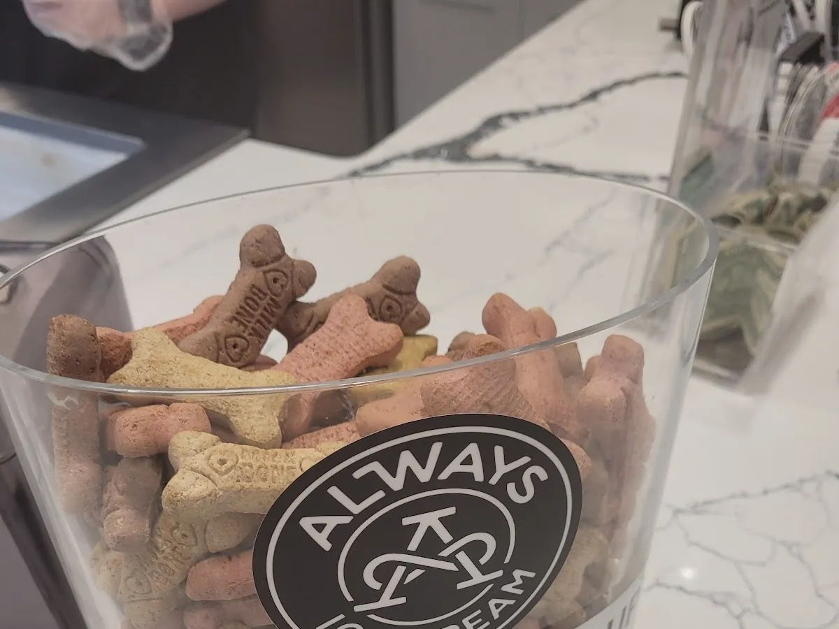 Always Ice Cream Company Edgewater photo 5