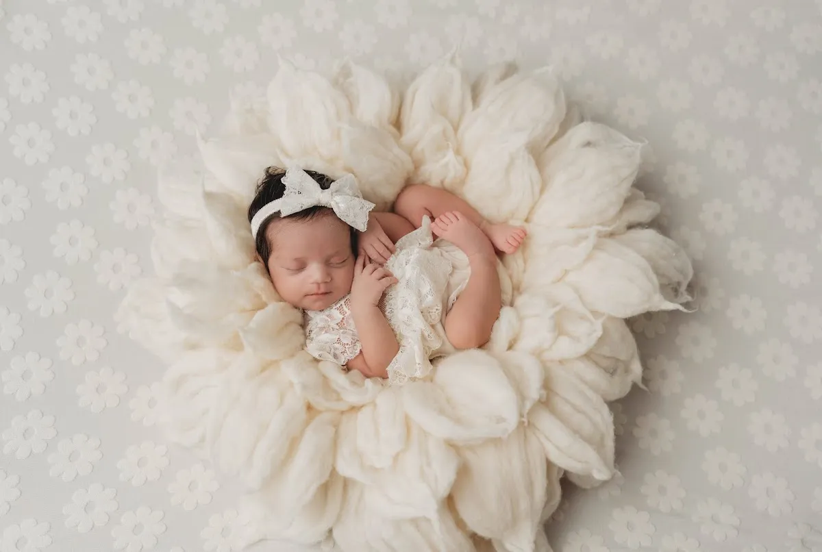 Amanda Lee Photography photo 5