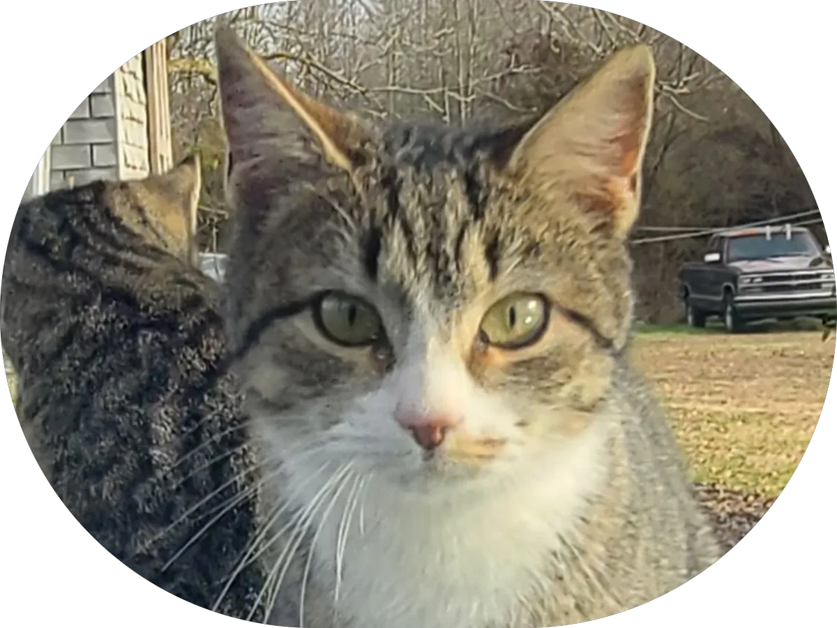 Amazing Asian BodyWork Happy Ending photo 2