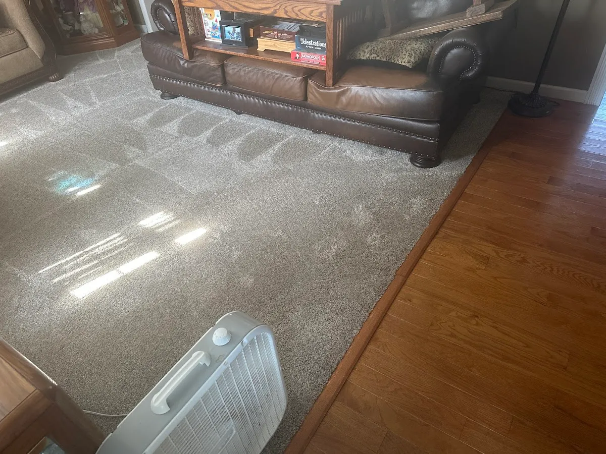 AMERICAN CARPET CLEANING