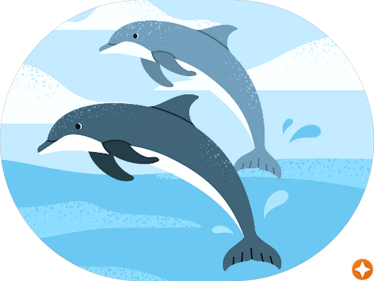 AMERICAN CARPET CLEANING photo 3