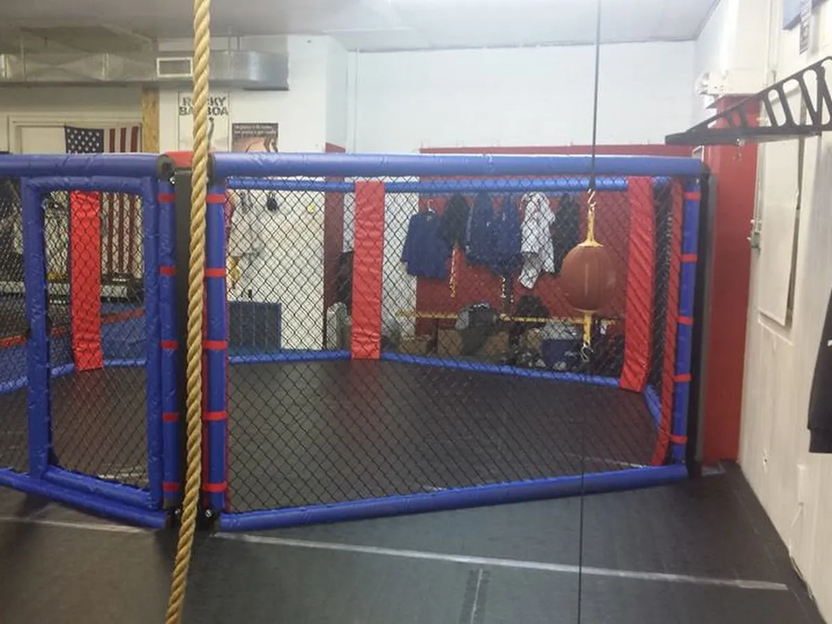 American MMA and Wrestling