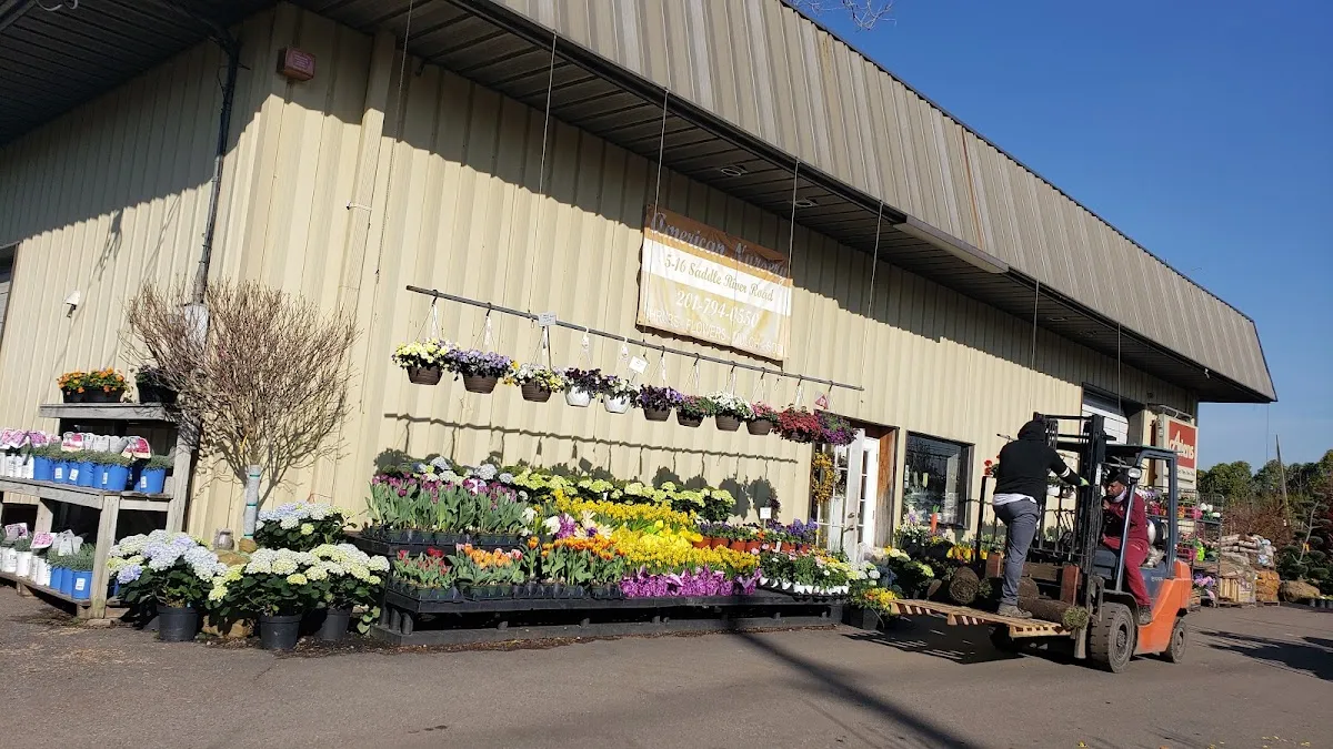 American Nursery photo 2