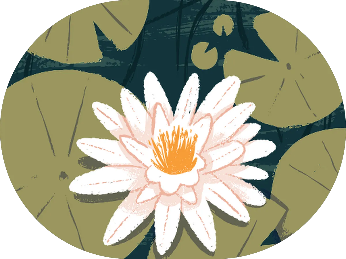 America's Best Contacts & Eyeglasses photo 5